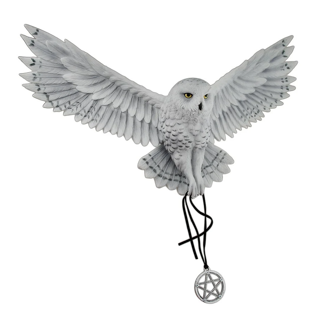 Awaken Your Magic Owl Wall Plaque - Image 4