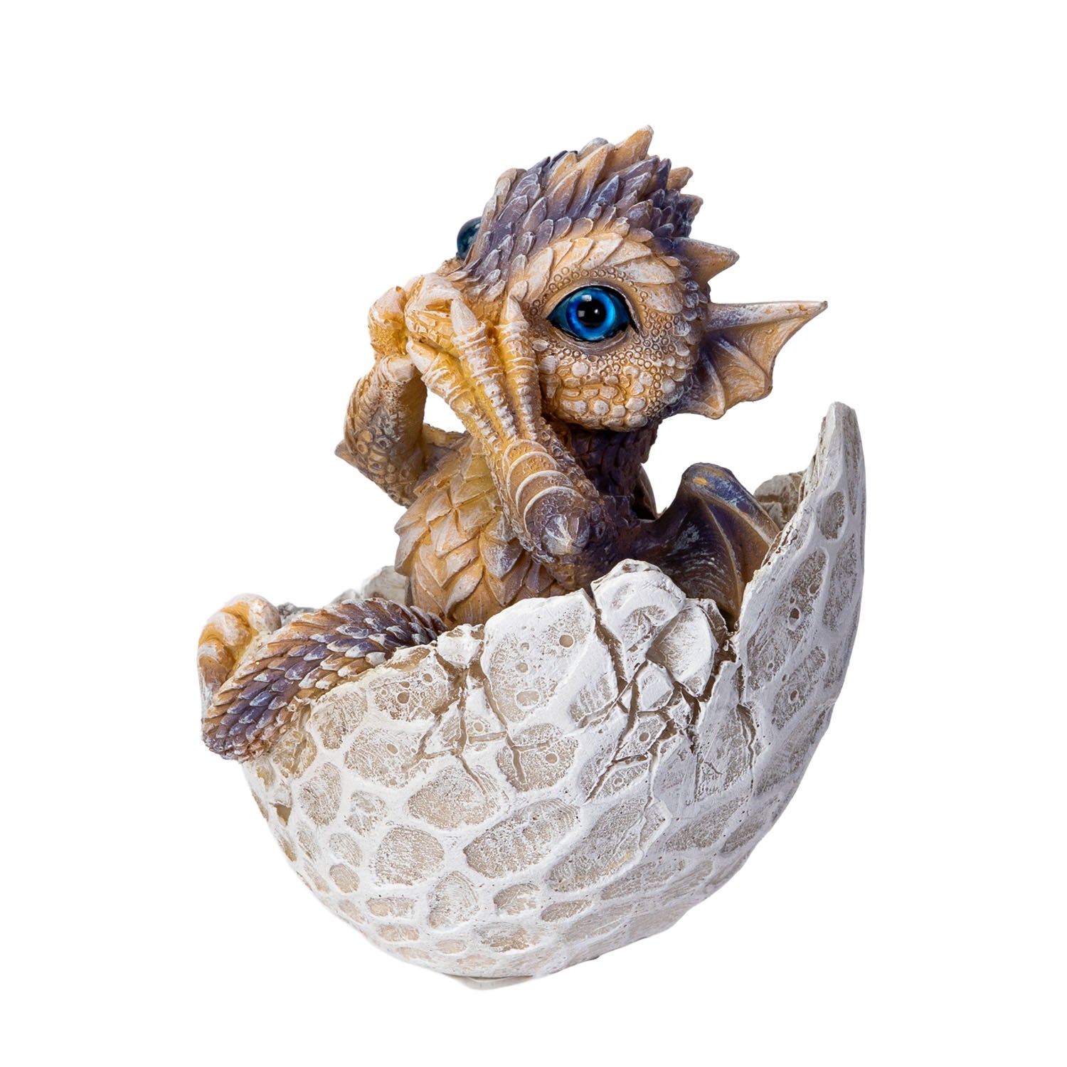 Blue Eyed Dragon Hatchling - Image 4
