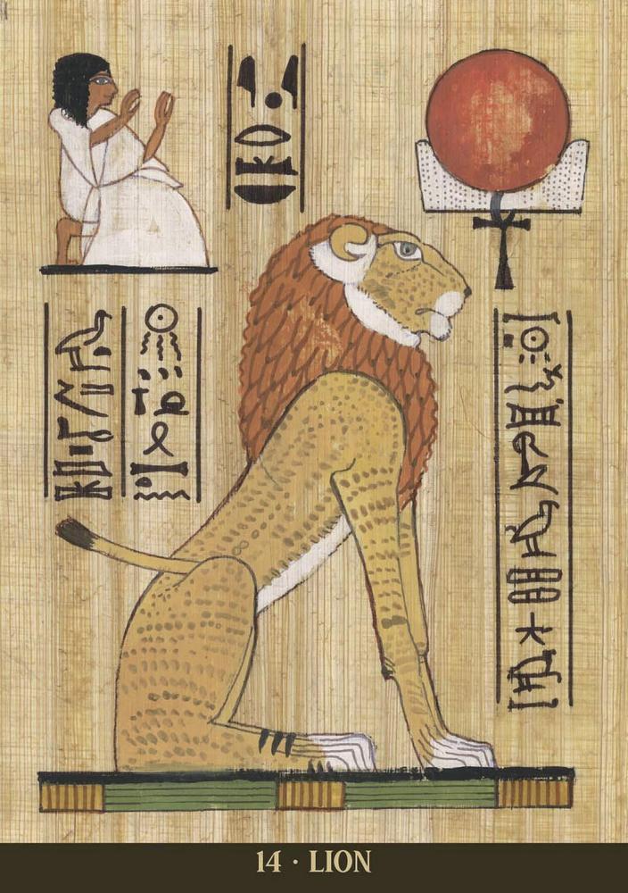 Egyptian Sacred Animals Oracle Deck - Image 3