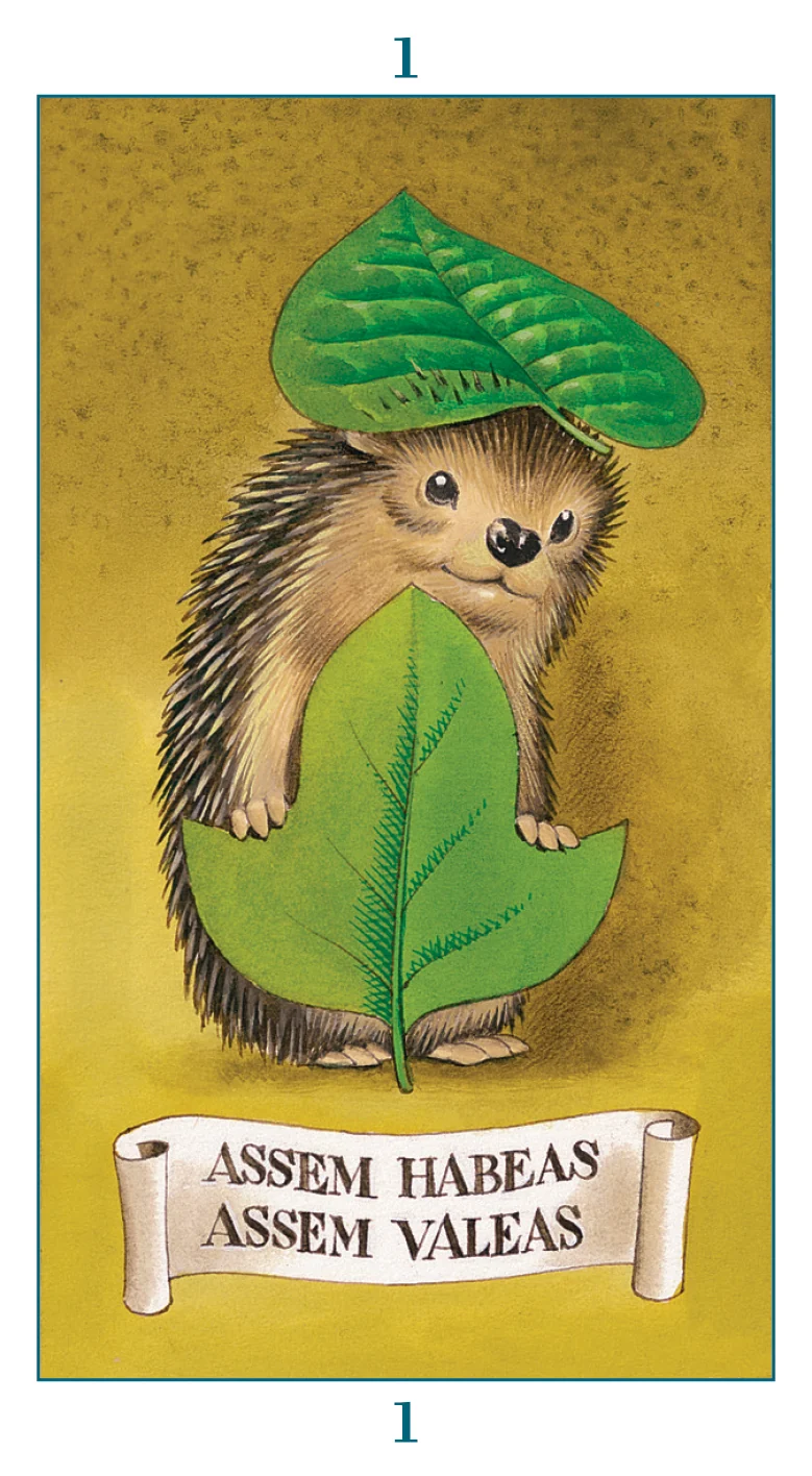 Fairy Tarot - Image 4