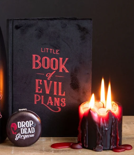 Little Book of Evil Plans Velvet Journal - Image 4