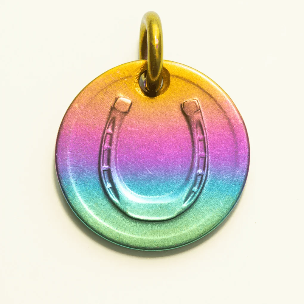 Lucky Rainbow Penny Coin Charm or Necklace - Image 2