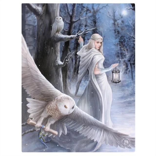 Midnight Messenger Canvas Print by Anne Stokes