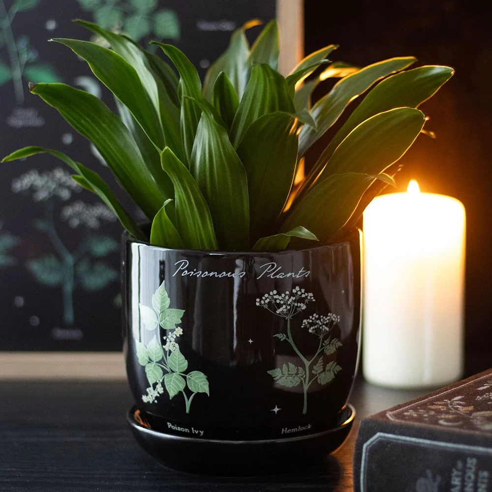 Poisonous Plants Planter Pot - Image 4