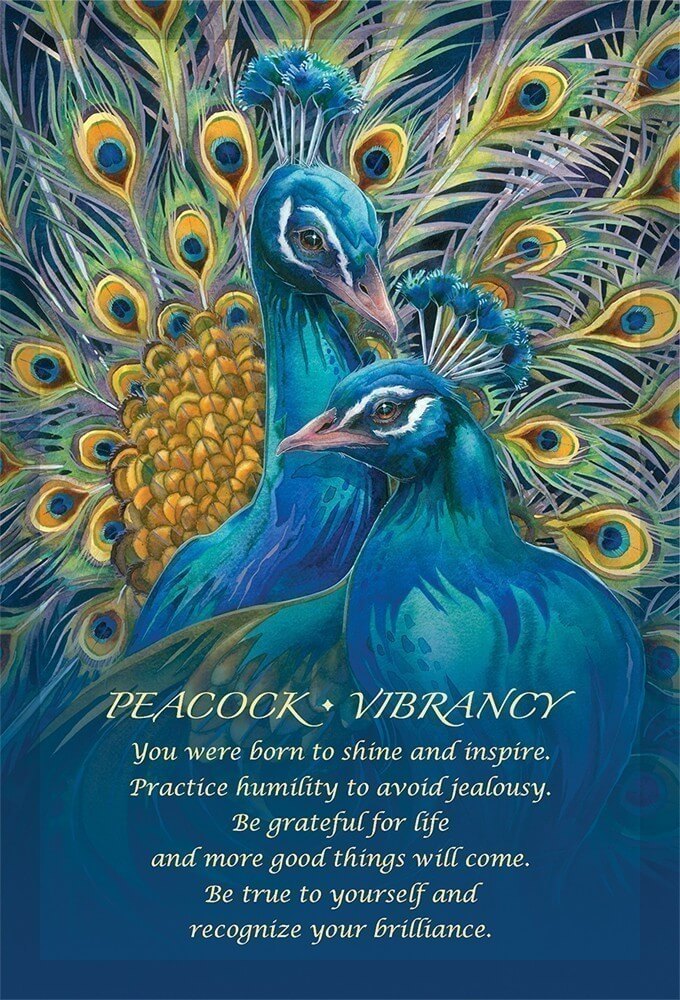 Spirit of the Animals Oracle Deck - Image 3