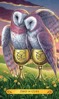 Tarot of the Owls - Image 2
