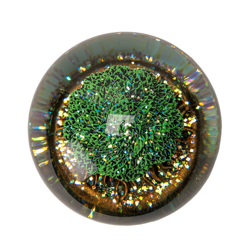 Tree of Life Water Globe - Image 2