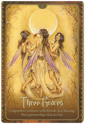 Wild Wisdom of the Faery Oracle Deck - Image 4