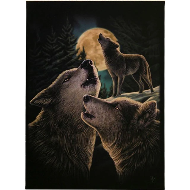 Wolf Song Canvas Print by Lisa Parker